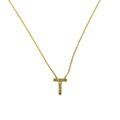 Pırlanta detaylı harf kolye (T)