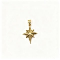 14 Ayar Kutup Yıldızı Altın Kolye Ucu